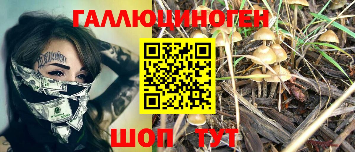 Псилоцибиновые грибы Magic Shrooms Таганрог