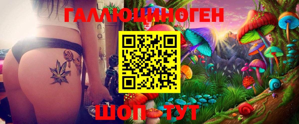 Таганрог  Псилоцибиновые грибы Magic Shrooms  Вход с VPN 
